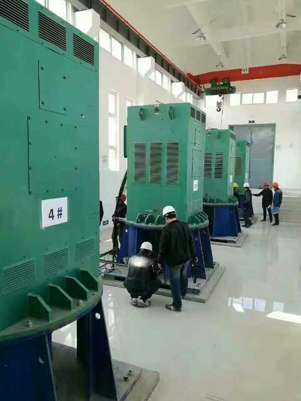 建邺某污水处理厂使用我厂的立式高压电机安装现场